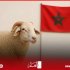 الاتحاد العام للفلاحين يصدر "نداء أكادير", AlAlam