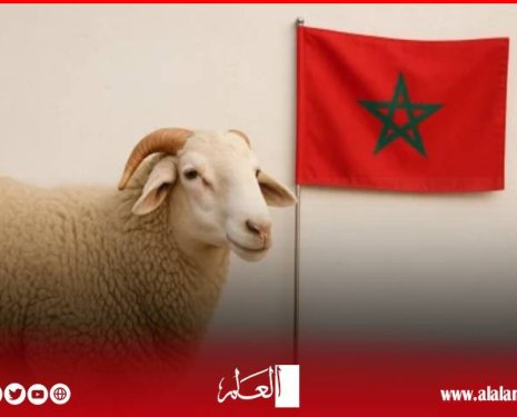 الاتحاد العام للفلاحين يصدر "نداء أكادير"
