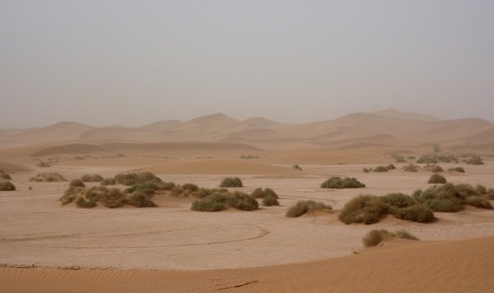 Magie du désert, Taroudant