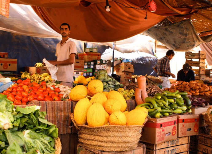 &copy; discoveringberkane.com / Discovering Berkane, Agence de l'Oriental